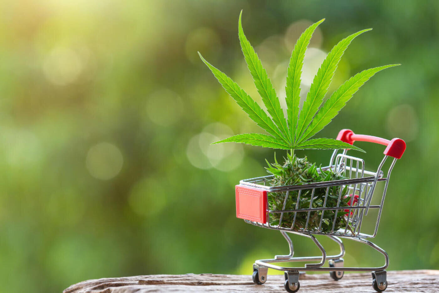 Marijuana purchase