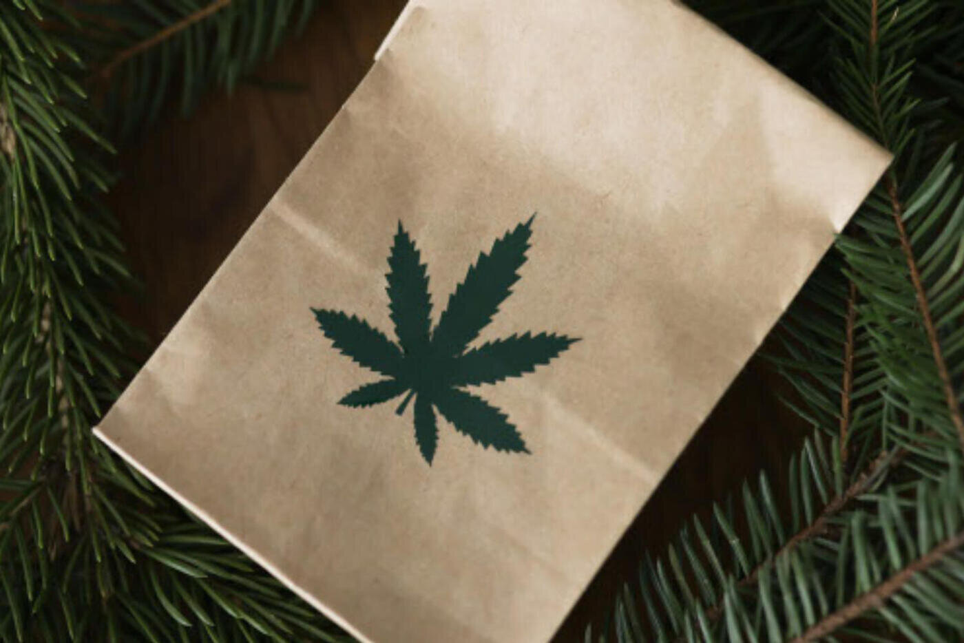 Cannabis bags